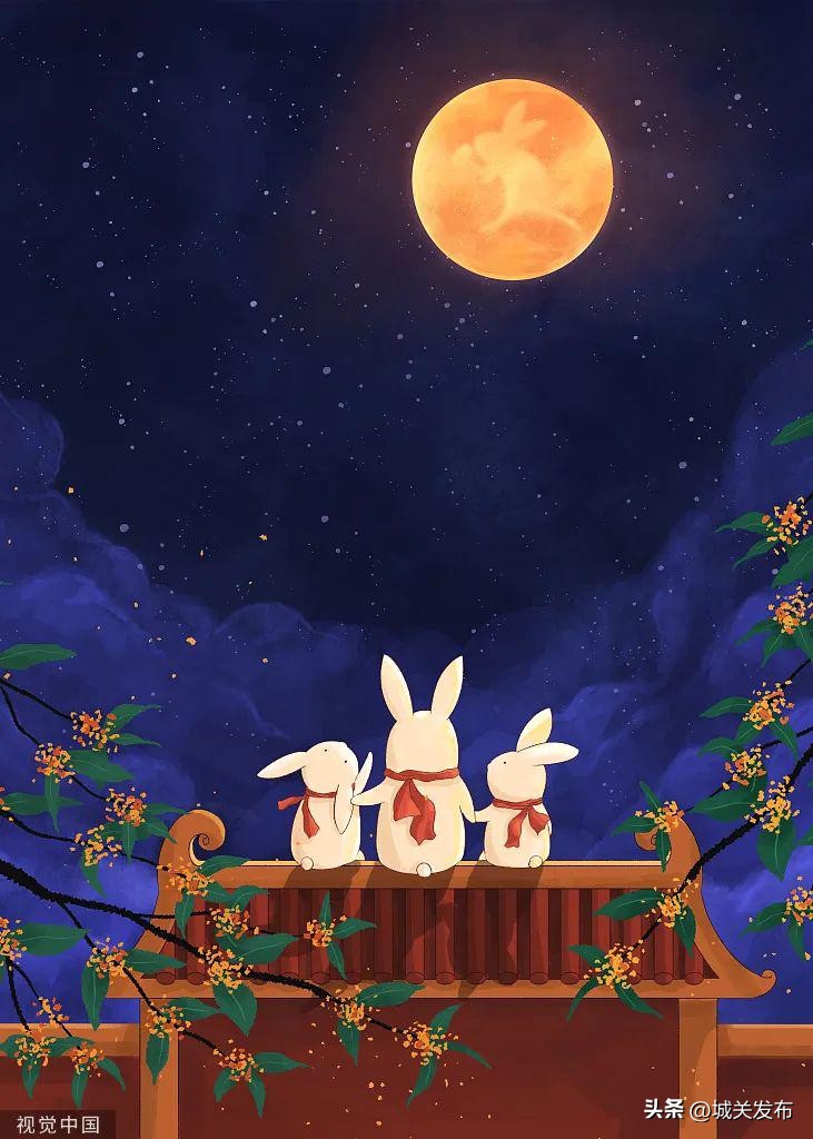 原来，你是这样的兔兔！