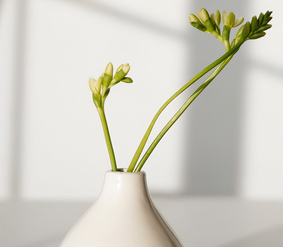 部编三年级下册习作我的植物朋友,三年级下一单元习作我的植物朋友