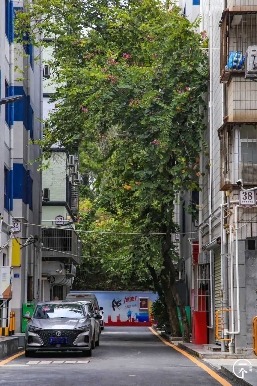 我在富士康干了24天能拿多少钱,暑假工富士康打工的真实生活