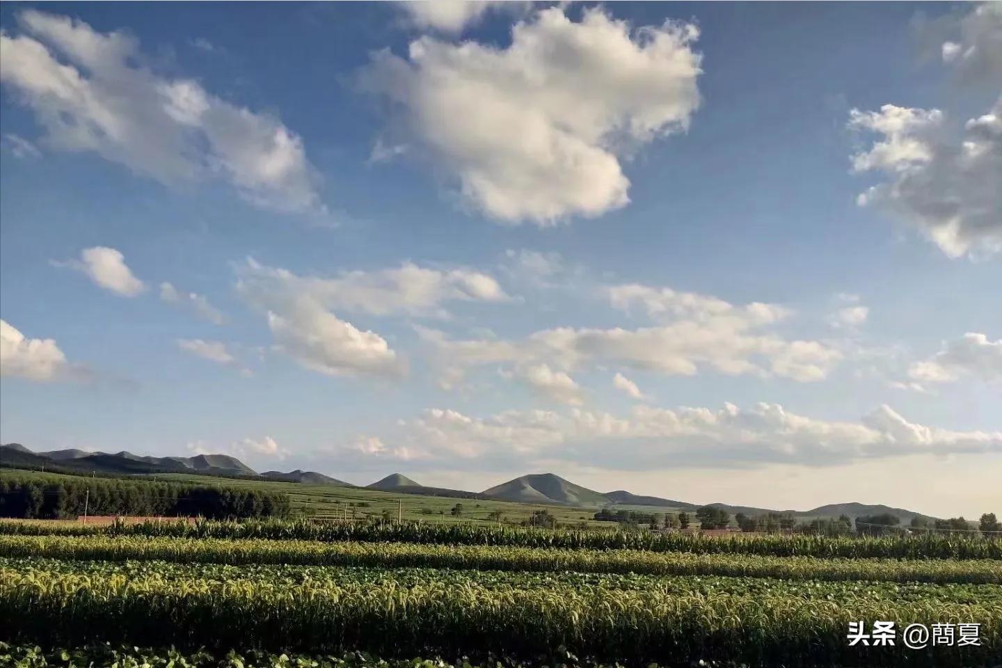 见过哪些不起眼却利润大的生意,有哪些不起眼生意利润高