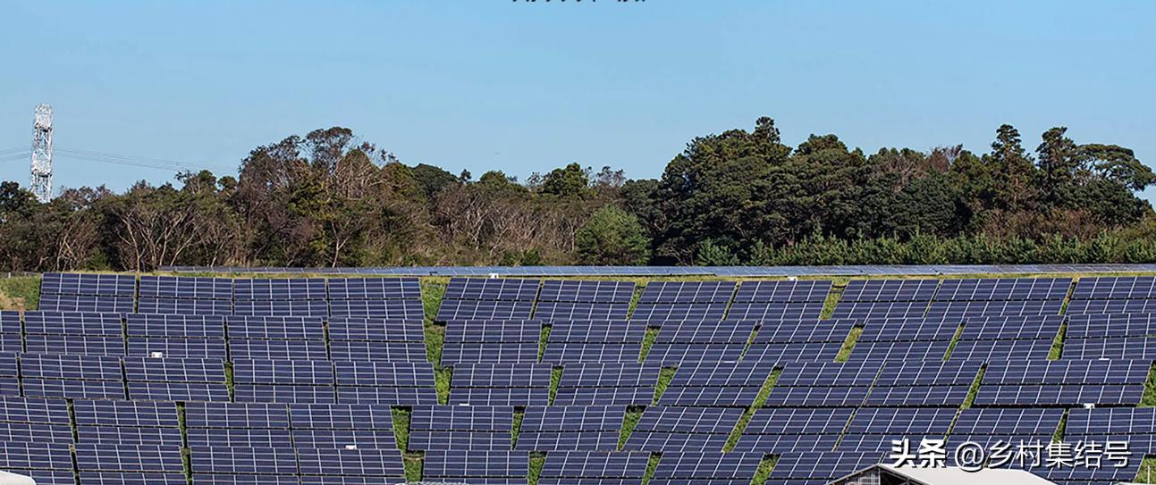 日本农业大县探寻乡村振兴新路,日本家庭农场农业模式