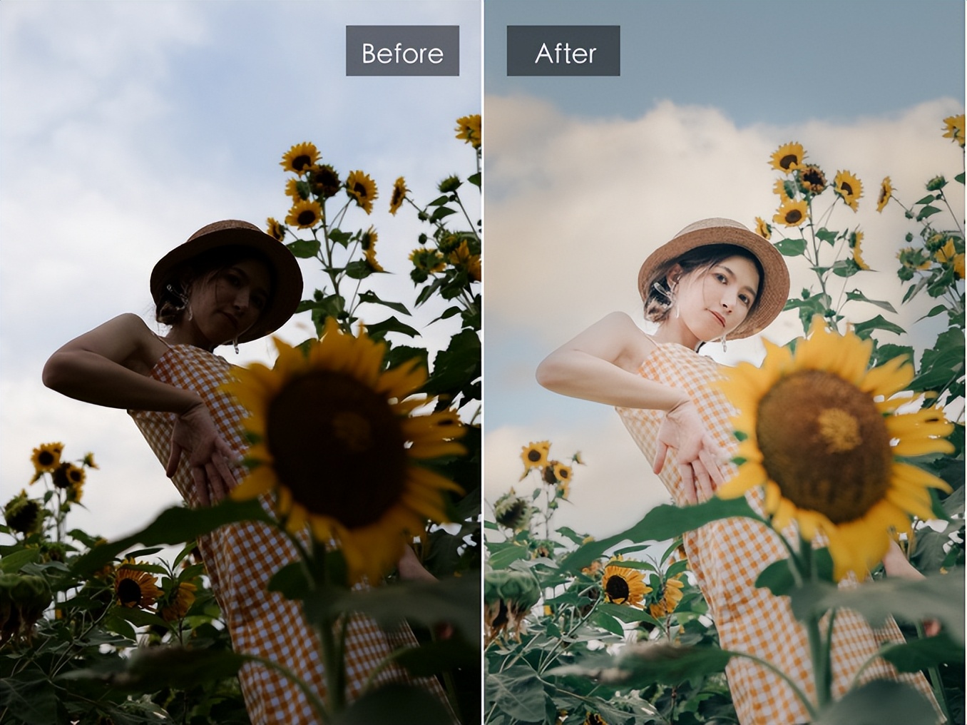 向日葵人像摄影后期技巧,拍向日葵人像参数设置