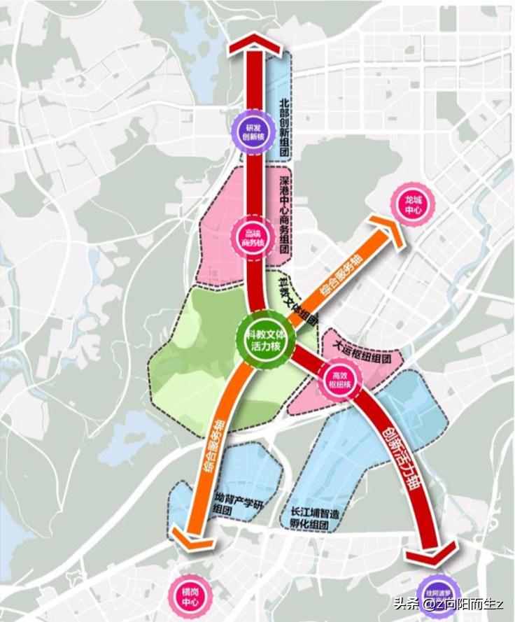 龙岗星龙园,大运星龙园