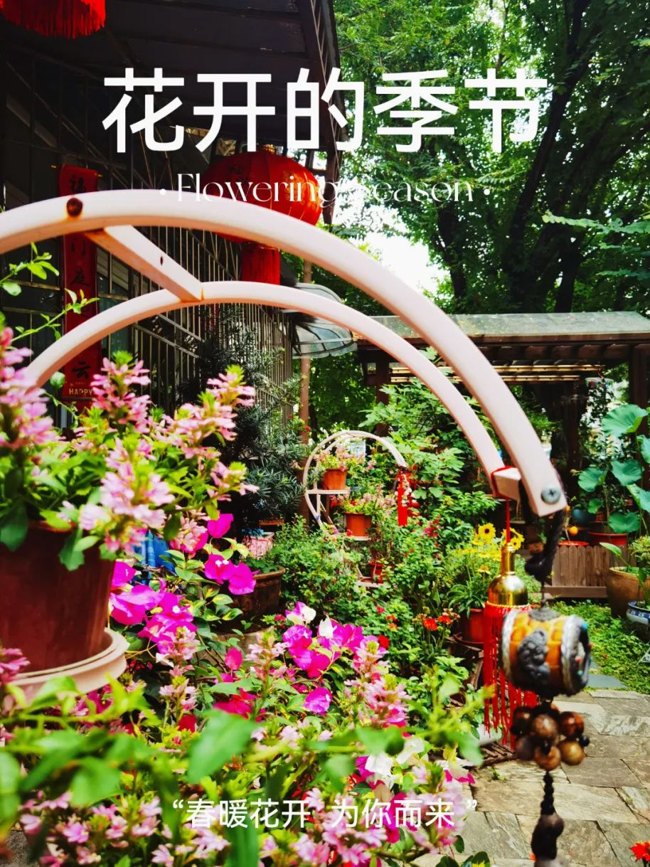 很多人羡慕的阳台,让别人羡慕的阳台