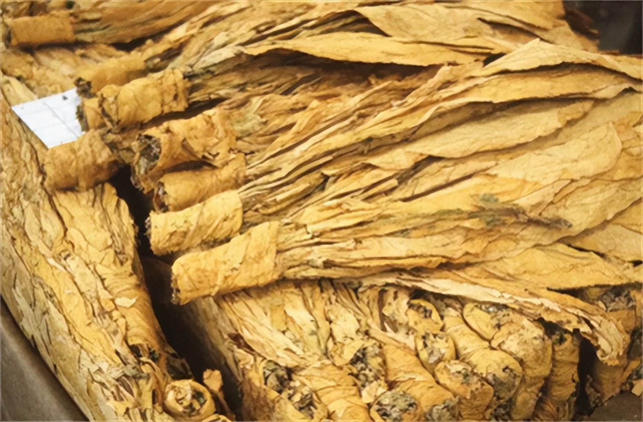 草烟的好处,草烟坏处