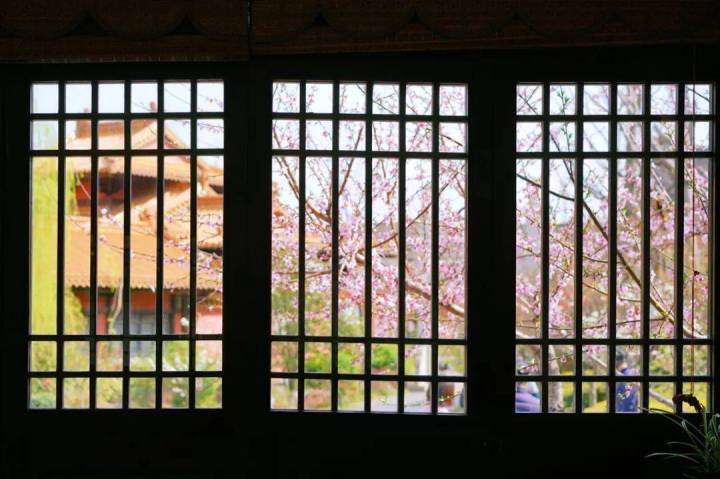 苏南踏青,苏南旅游推荐