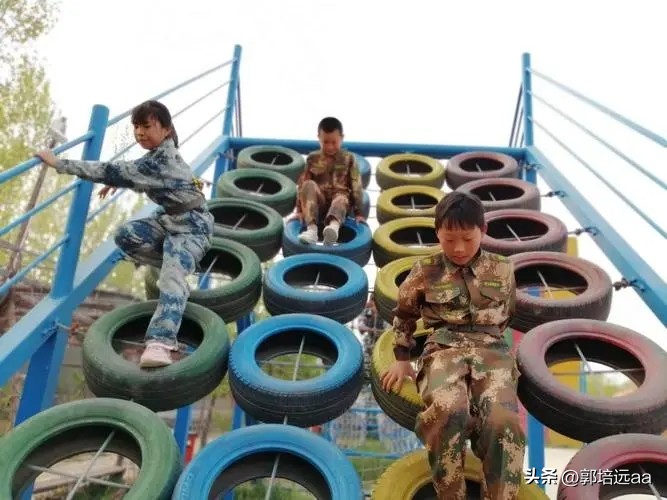 靠树叶一年赚8000万,一片树叶卖7000元