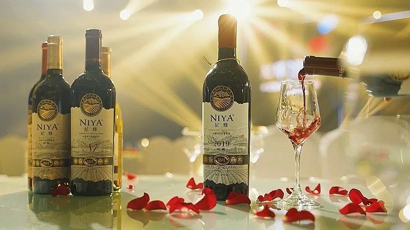 品质生活，尚选尼雅|尼雅N系列上市品鉴活动在宁波举办