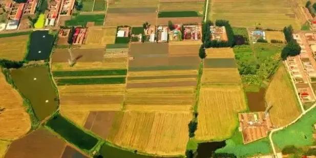 2023农村土地补贴几月份发放,2023农村土地基本补贴多少钱一亩