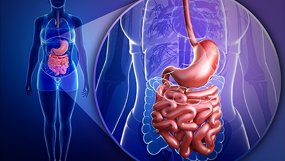 一喝水就尿多肾脏是好还是不好,一喝水就尿多说明肾脏好还是不好