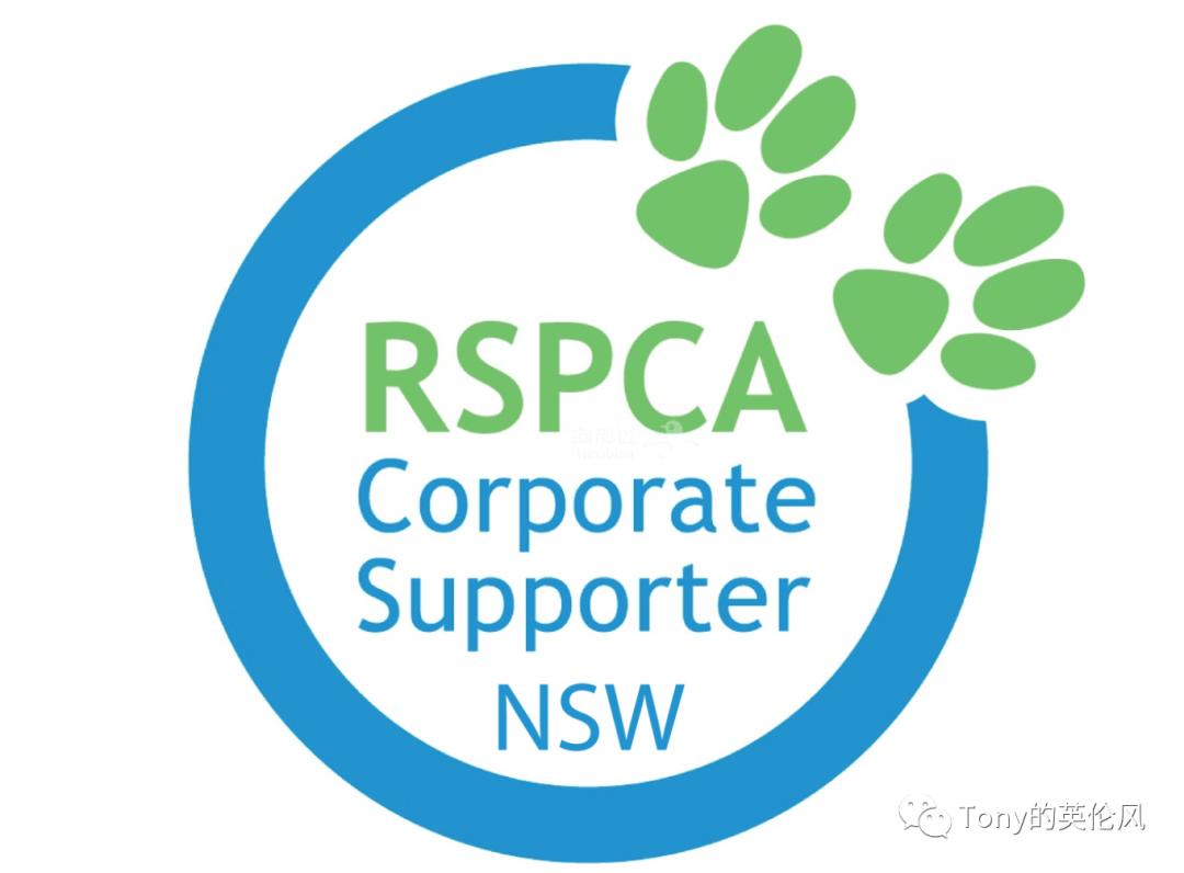 英国养猫宠兔,英国养猫开销