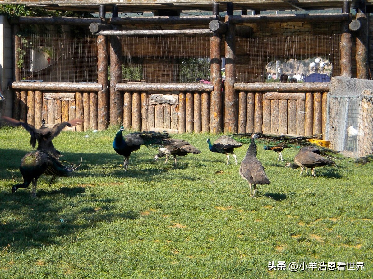 辽宁最值得去的十个景点,辽宁必去十大景点有哪些