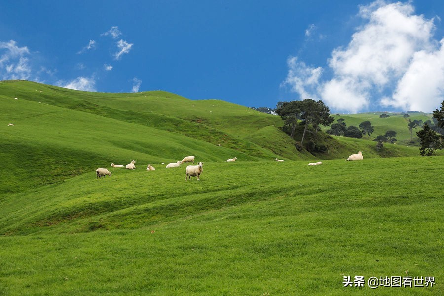 五分钟了解一个国家之新西兰,新西兰国家详细讲解