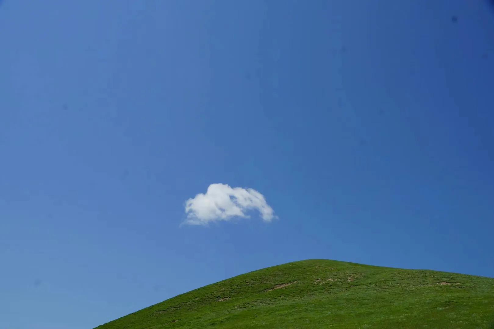 回忆录完整版结局,回忆录电视剧全集