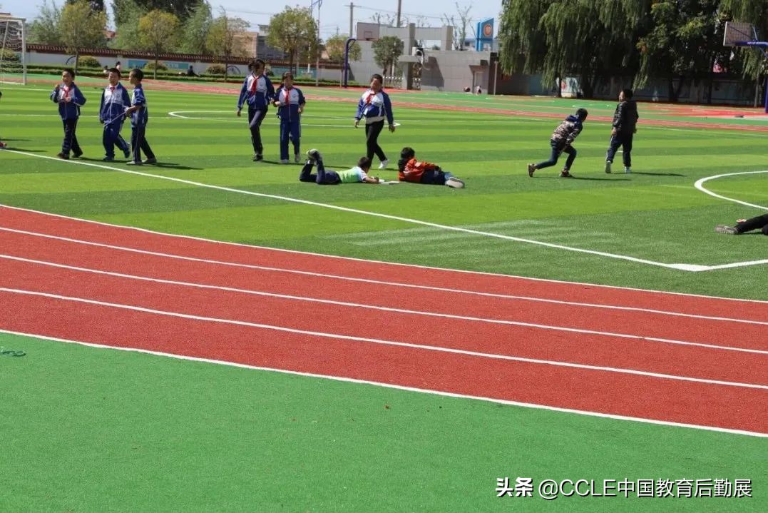 人工草坪厂家多利隆人造草坪,多利隆人造草坪一站式服务