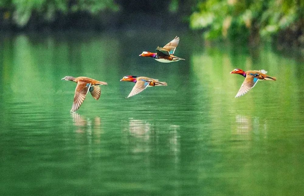 闈掔鏃呮父,鐪夊北闈掔