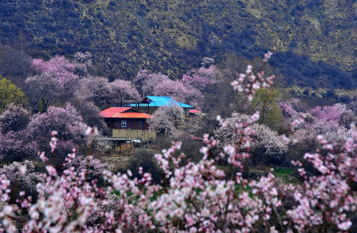 10首春游诗词看古人春天有多浪漫,十首最美春日诗词邂逅最美春愁