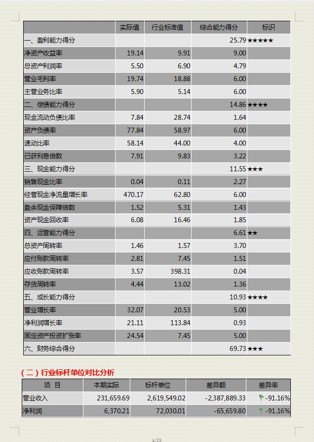企业财务报表分析报告案例模板,公司财务分析报告免费下载