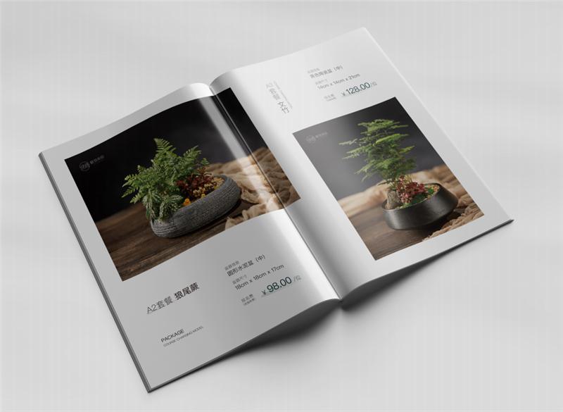 从小花店到年入900万元园艺名企，看温州绿趣的两次转型