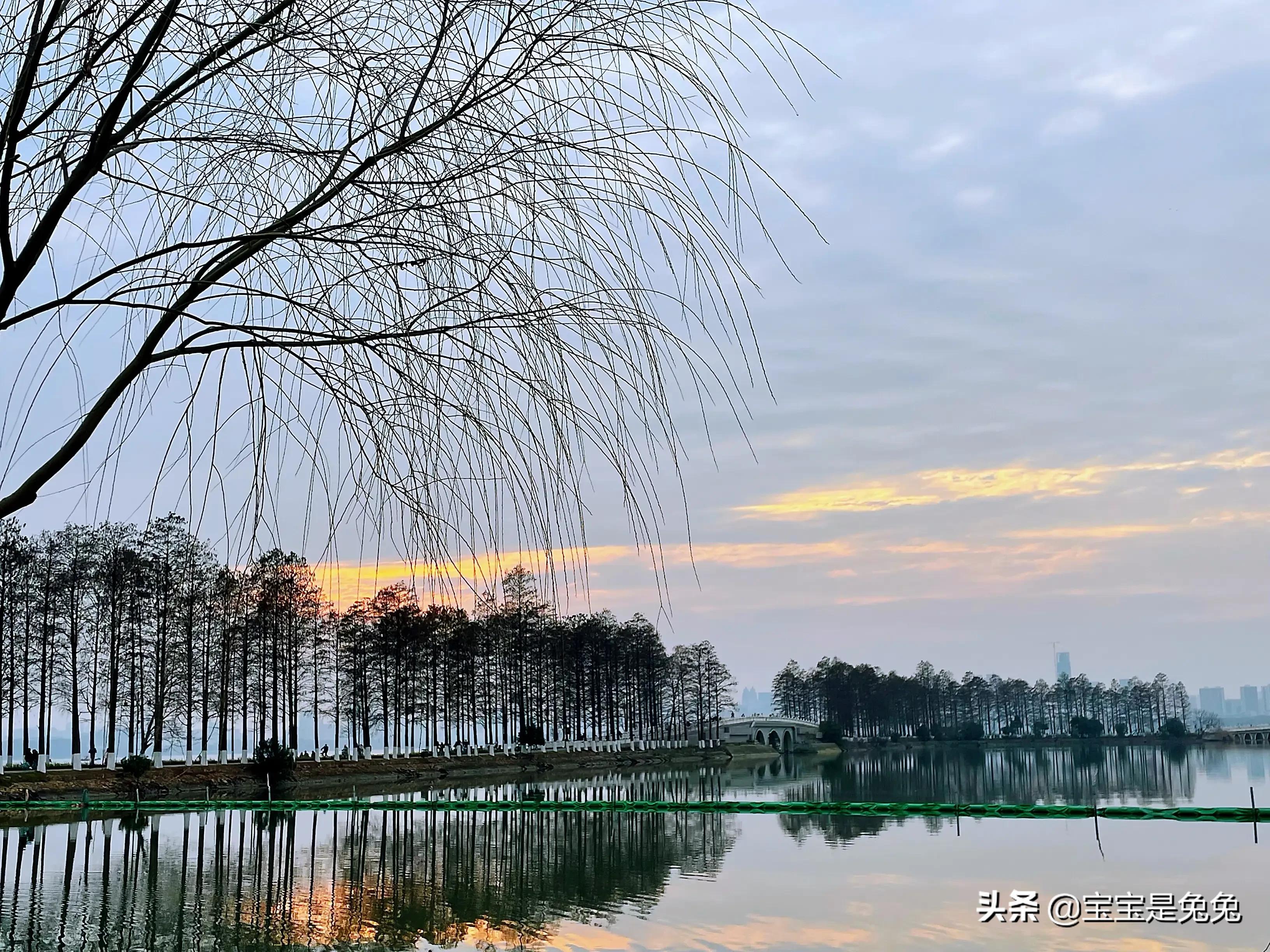 生日快乐我对自己说歌词完整版,生日快乐我对自己说视频