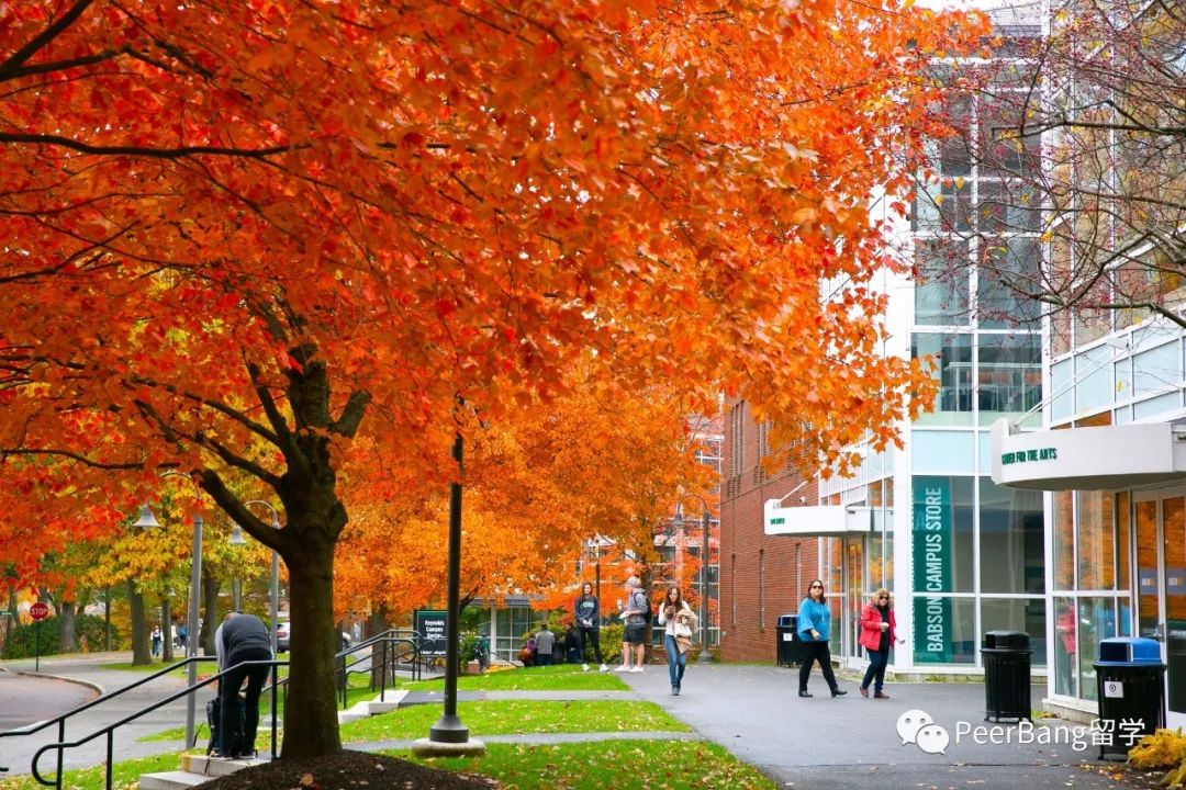 比哈佛还牛！商界大佬都想送子女去的美国“隐藏牛校”