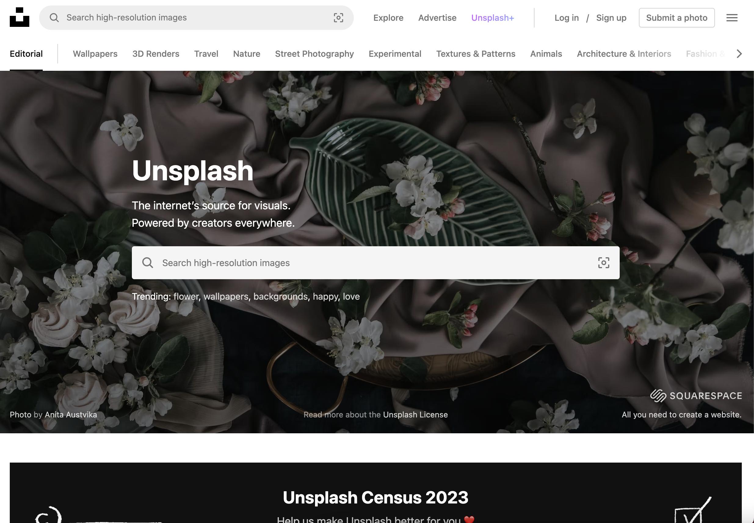 前端必备的10个神级网站,前端必备软件
