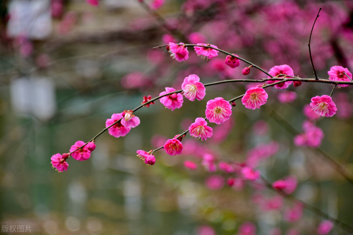 人生有一种境界叫做舍得,人生有一种境界叫留白