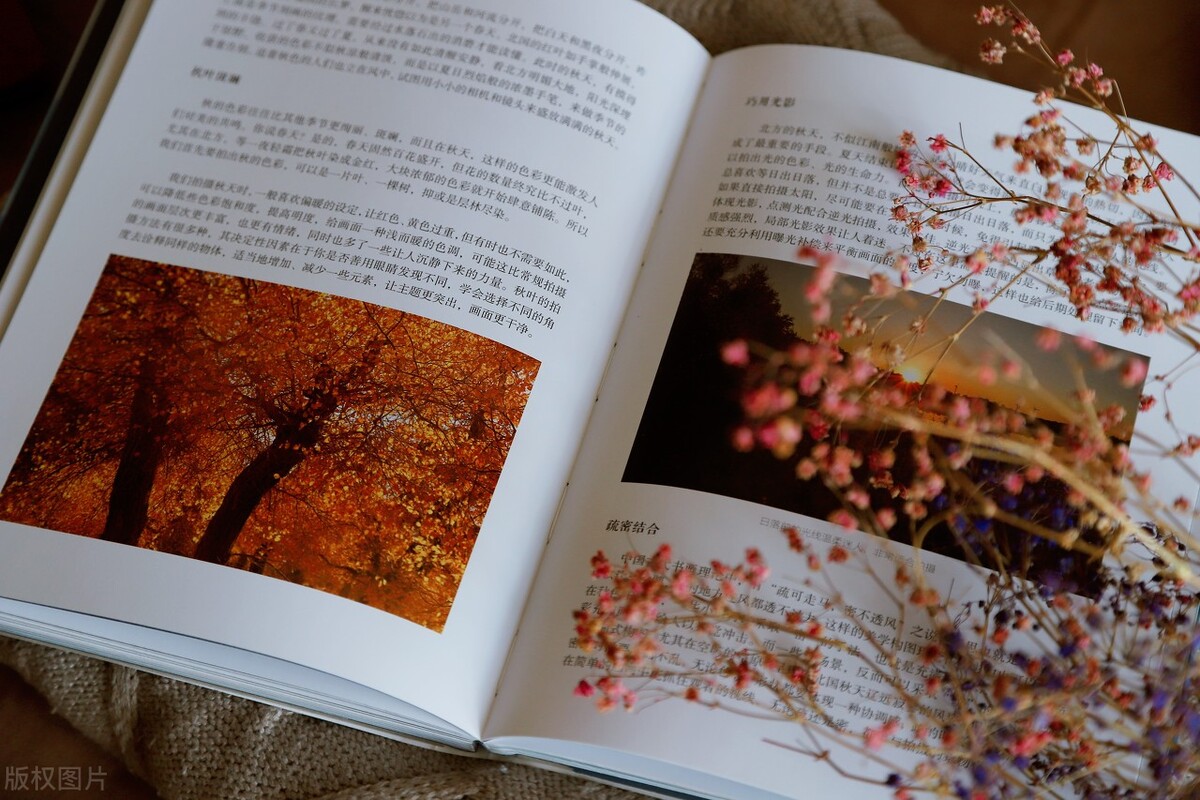 想给自己写点什么,该给自己写点什么呢