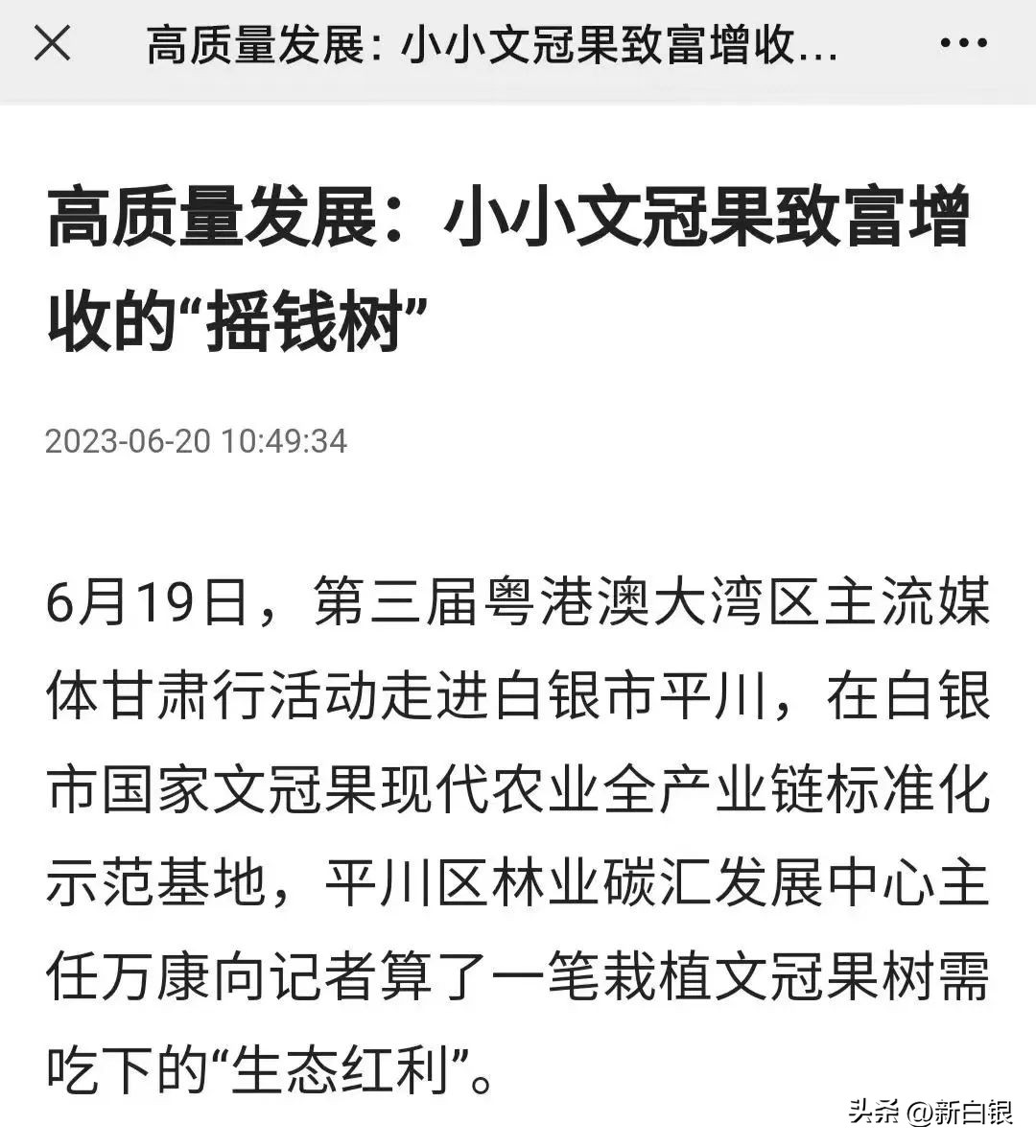 看看粤港澳大湾区记者们笔下的白银