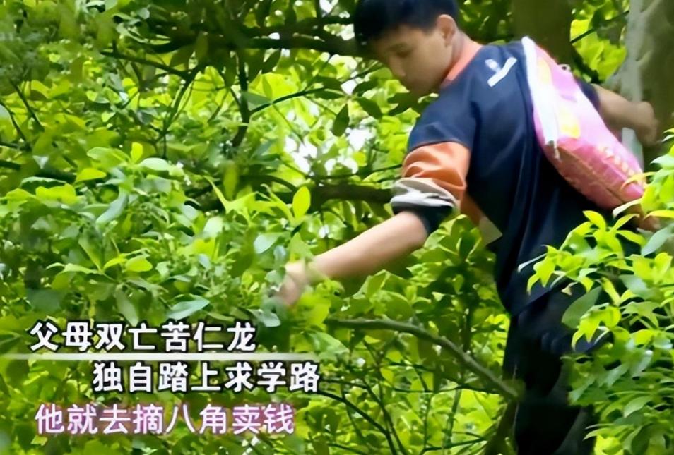 13岁男孩父母双亡考上北大,广西13岁男孩靠捡废品考上北大