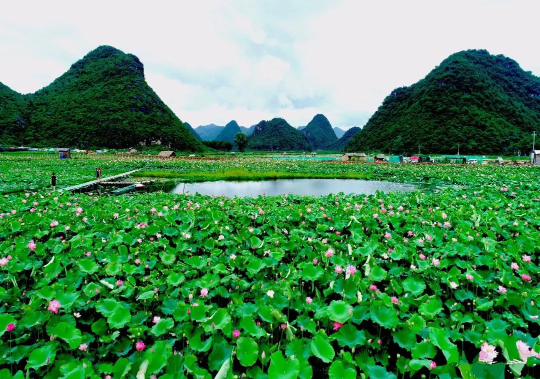 云南普者黑在哪个城市,云南普者黑最美的风景在哪里