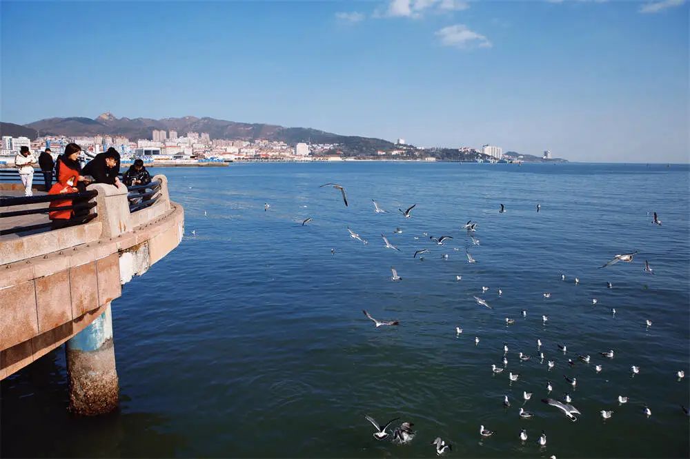 阳光正好周末出去走走,阳光明媚的周末游