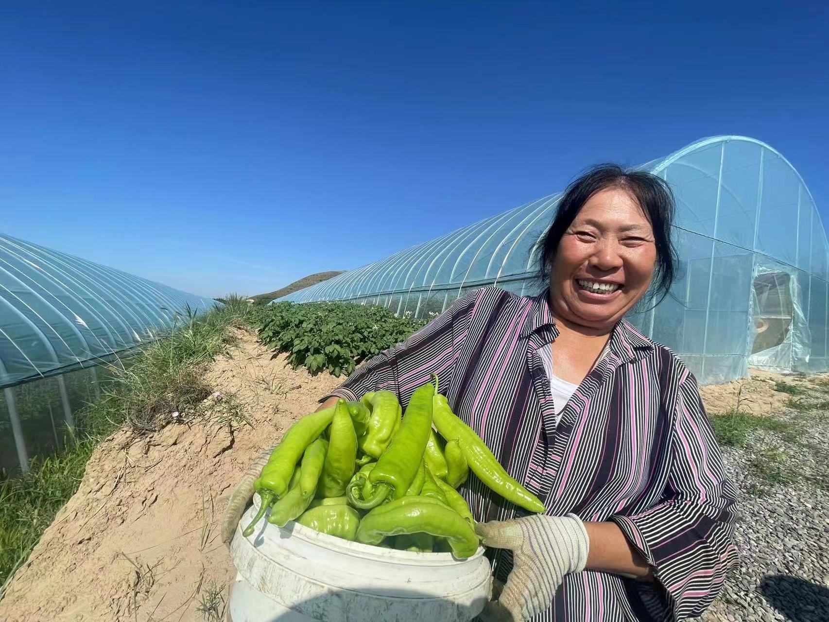 什么是有机农业生产的基础和核心,真正有机食品怎么种植