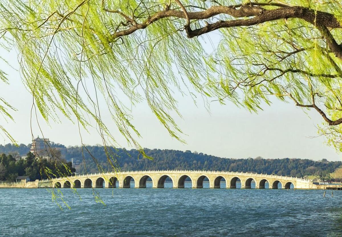 春天的诗句5言,春天的诗句怎么写的