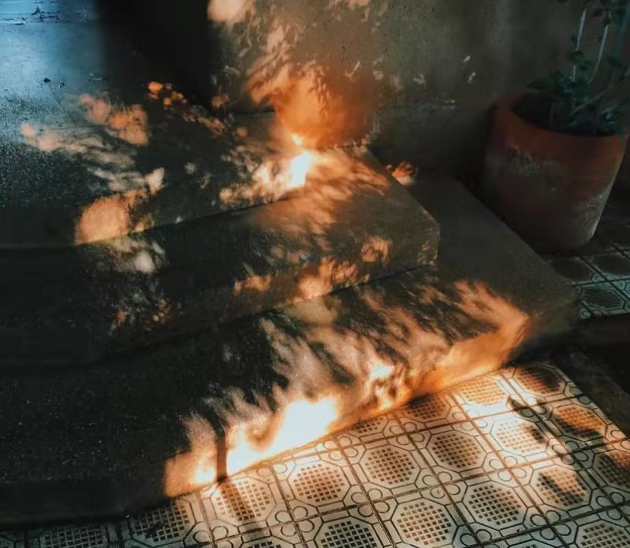 我的舅舅很讨厌我我该怎么办,为什么会讨厌自己的舅舅