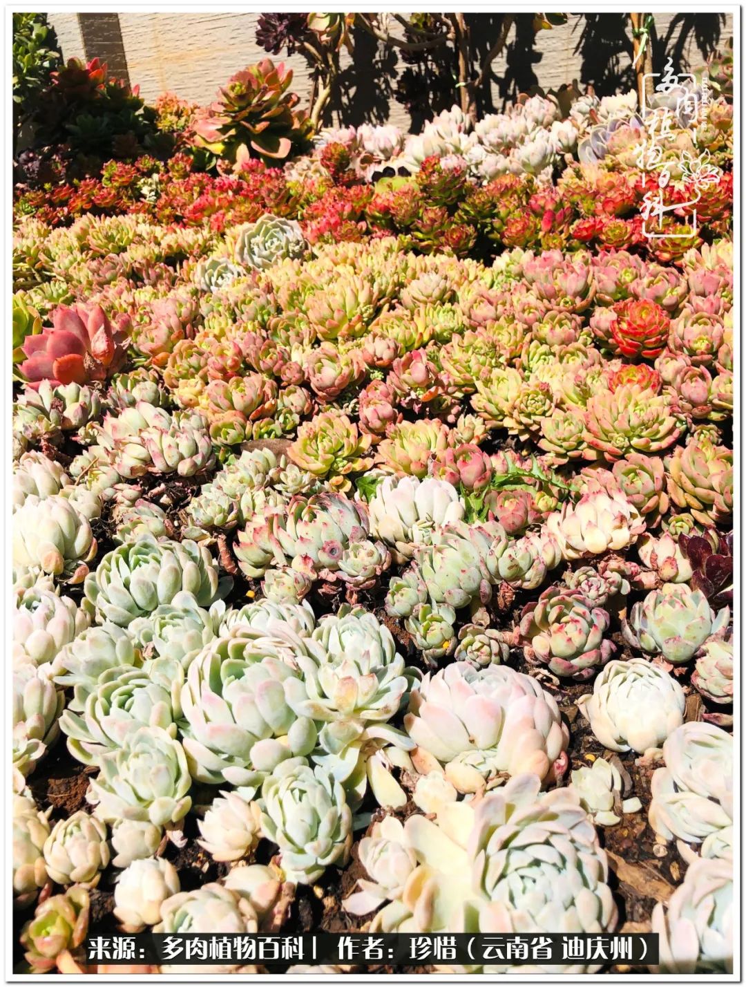 给生命一份淡然还岁月一份从容,给生命留一份洒脱的话