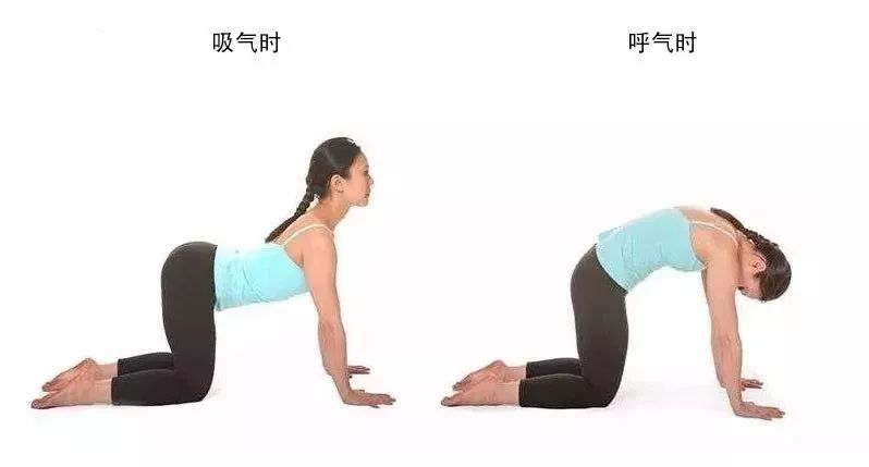 为什么腰椎间盘突出会影响腿痛,最有效的腰椎间盘突出锻炼方法