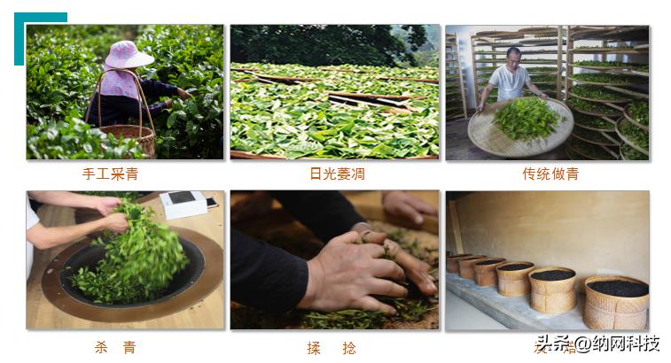 正山武夷注册“.购物”域名，创造品牌价值！