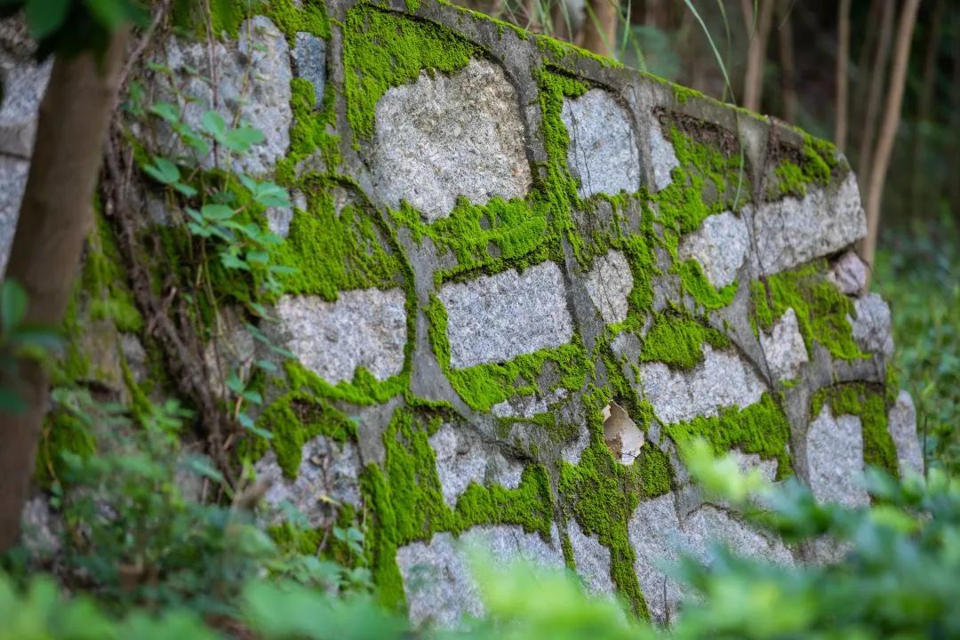 深圳梅林水库绿道线路图,深圳首条手作步道