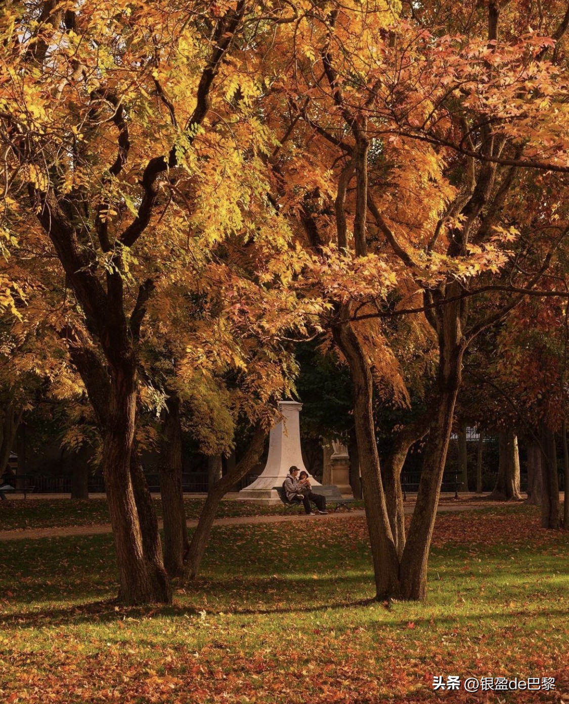 巴黎的卢森堡公园,法国卢森堡公园