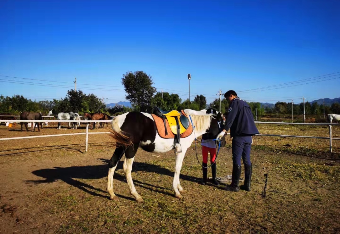 2023华杯赛夏令营,华誉外交官