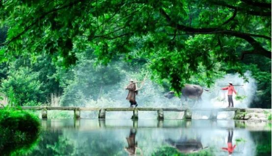 农村未来10年预言,农村未来10年会有什么改变