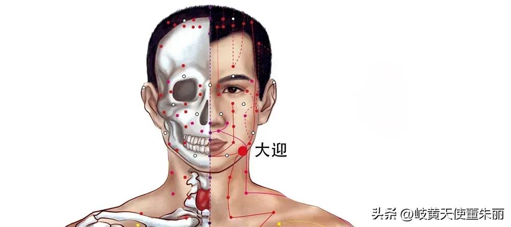 脸部三个美白穴,脸部抗皱抗衰的穴有哪些