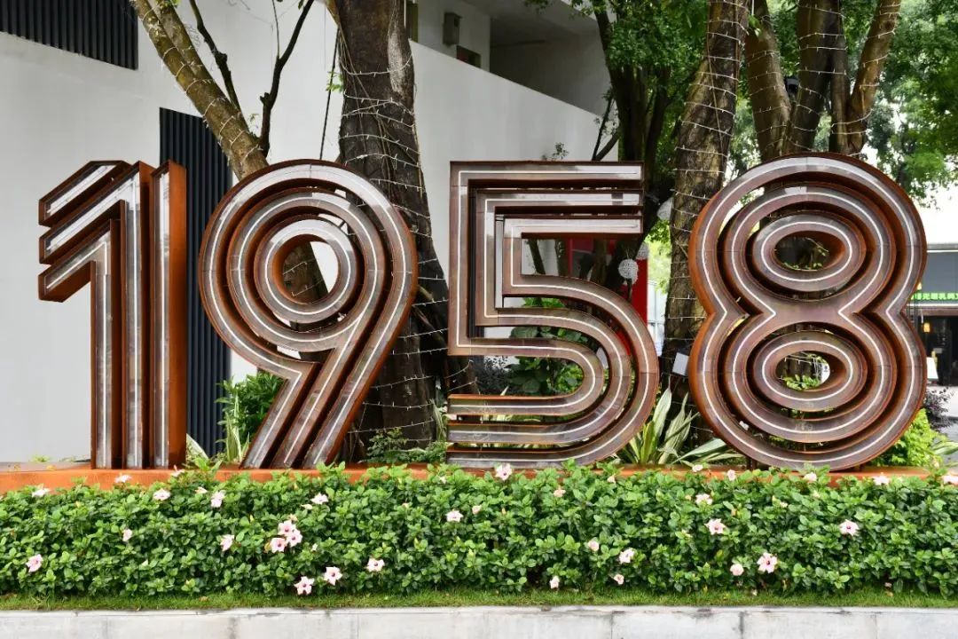 春节来光明“桥”见1958，寻找光明记忆