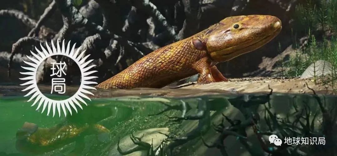 他们，做了一个违背祖宗的决定！|地球知识局