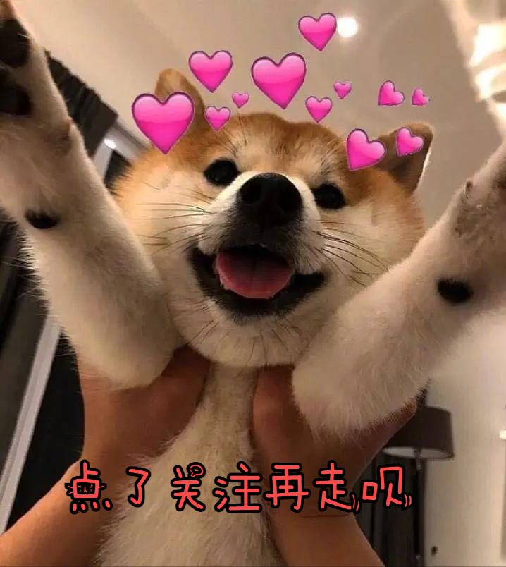 法斗狗的优点和缺点,小法斗的优点缺点