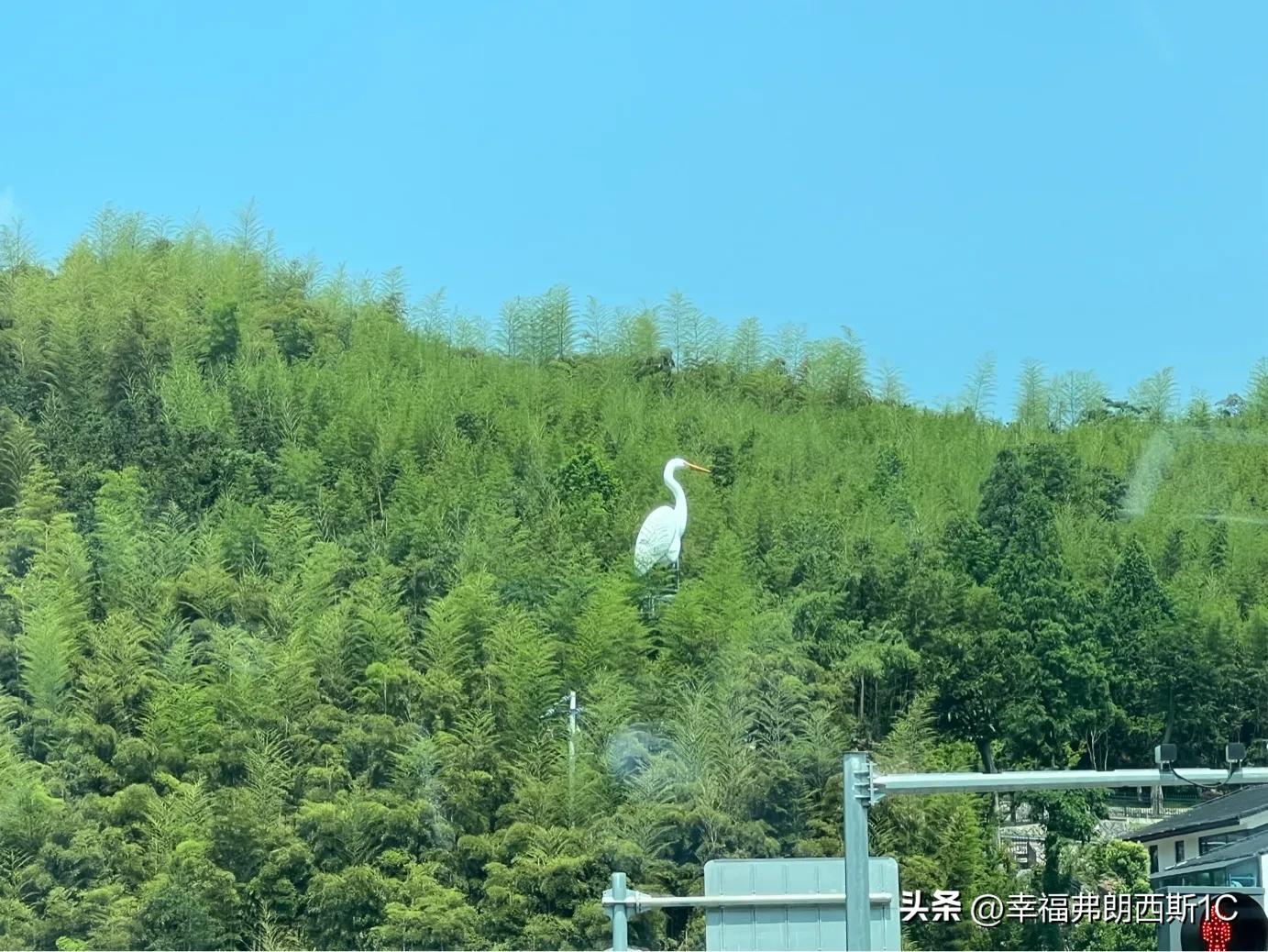 想给生活放个假,请记得给自己的生活放个假