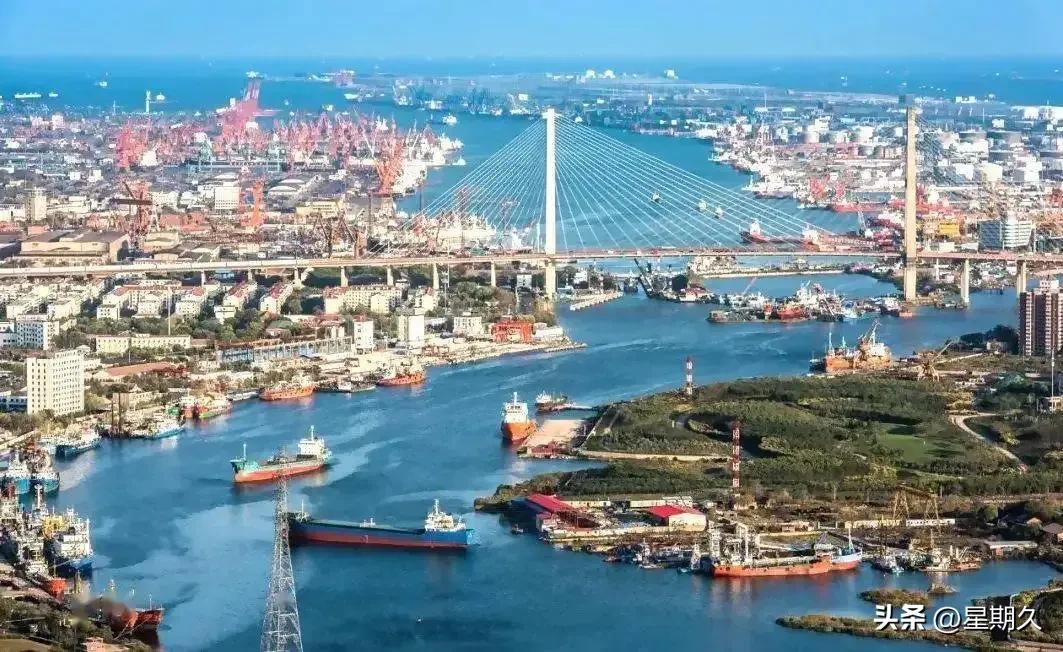 165期～我和船东代表有了隔阂，小刘给我深深地上了一课