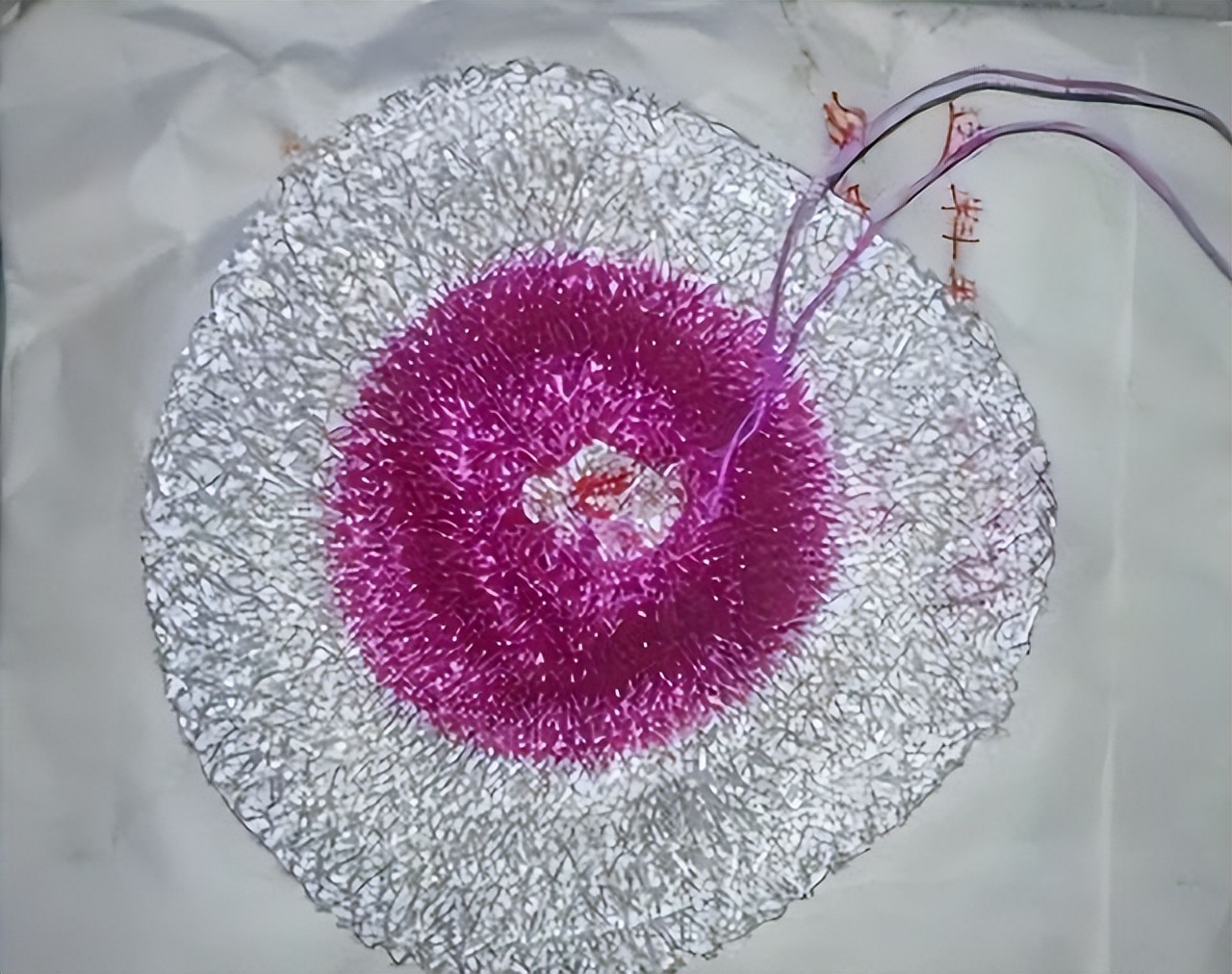 七八十年代供销社卖的日杂百货,四十年前供销社卖过的31种日用品