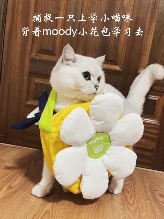 抗击疫情伊利集团在行动,新冠疫情阿迪达斯